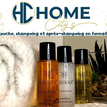 L'authentique, Duplex, Centre Historique, Wifi Lägenhet *